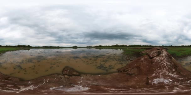Sjön Träsk Sri Lankas Regnskog 360Video — Stockvideo