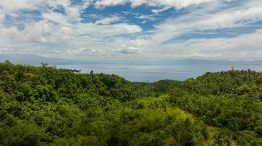 Ormandan ve yağmur ormanlarından denize bak. Cebu, Filipinler.