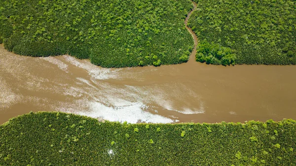 Aerial view of mangroves and rainforest in the tropics. Menumbok forest reserve. Borneo, Sabah, Malaysia.