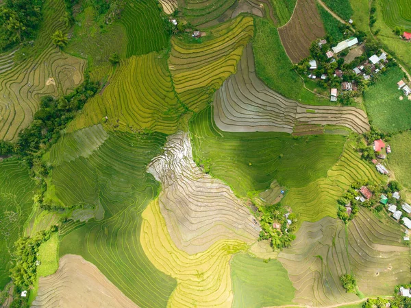 Αεροφωτογραφία Της Γεωργικής Γης Ταράτσες Ρυζιού Στην Ύπαιθρο Negros Φιλιππίνες — Φωτογραφία Αρχείου