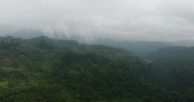 Tropik dağ sırası ve dağ yamaçlarında yağmur ormanları. Sumatra, Endonezya.