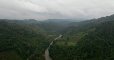 Tepelerin ve dağların arasında yağmur ormanları olan bir nehir. Sumatra, Endonezya.
