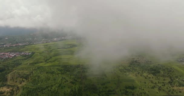 Vista Aerea Della Tenuta Sumatra Vista Dall Alto Piantagione Montagna — Video Stock