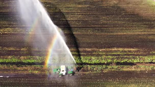 作物の空中ビューの中心ピボット農業灌漑機 農地に水をやり取りする灌漑ピボット 農地に水をやり取りする灌漑システム — ストック動画