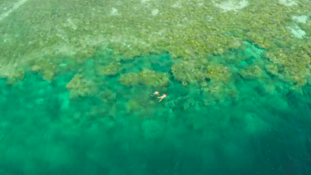 Turistler Berrak Mavi Okyanus Suyu Ile Mercan Resifi Üzerinde Şnorkel — Stok video