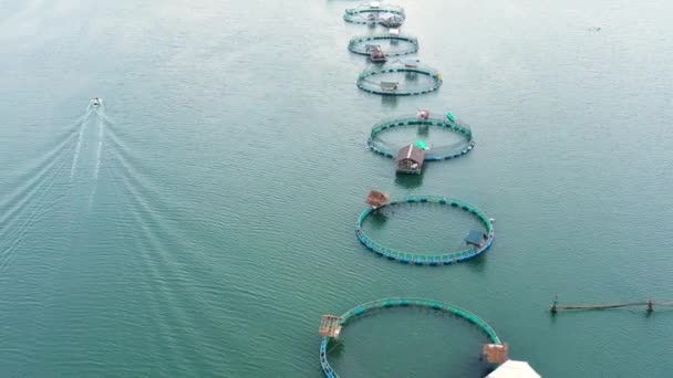 필리핀 물고기 위시야 양어장을 공중에서 양어장 양식업 — 비디오