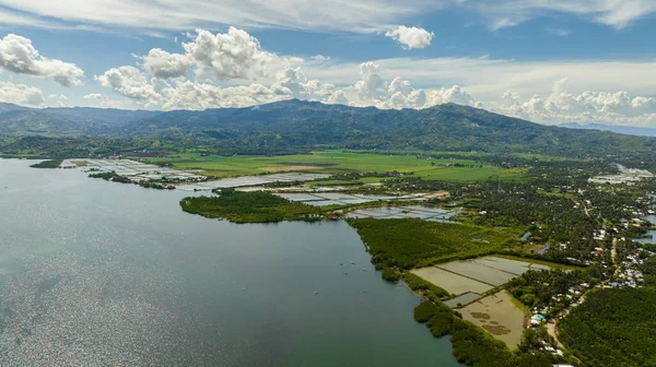 Vista Aérea Costa Isla Negros Con Tierras Cultivo Ciudad Negros —  Fotos de Stock