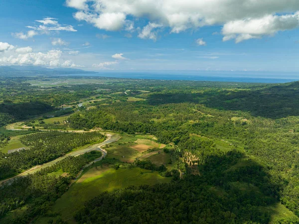 stock image Aerial drone of rural area with agricultural land and rice fields in the tropics. Negros, Philippines