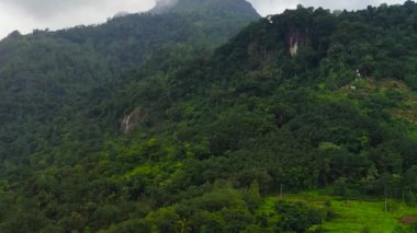 Aerial view of Tropical mountain range and mountain slopes with rainforest. Sri Lanka.