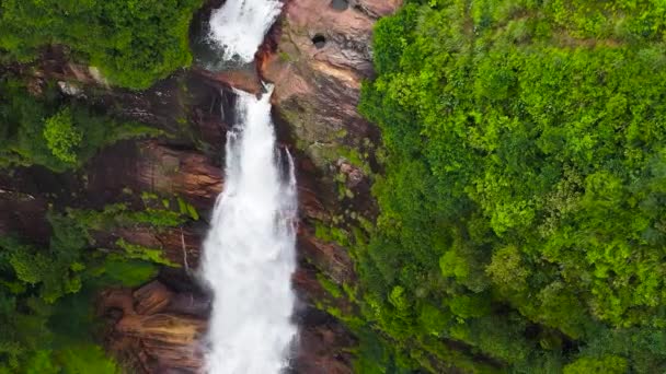 Cascada Entre Selva Tropical Con Plantas Árboles Verdes Cataratas Gartmore — Vídeo de stock