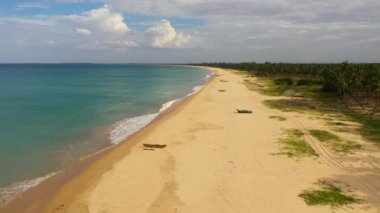 Tropikal sahildeki palmiye ağaçlarının havadan görünüşü. Kalkudah Sahili, Sri Lanka.