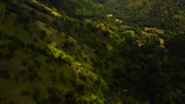 Dağların ve yağmur ormanlarıyla kaplı tepelerin arasındaki Gorge 'un havadan görünüşü. Sri Lanka 'daki dağ manzarası.