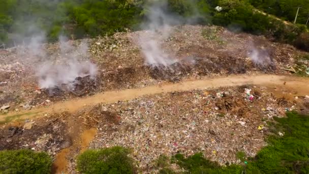 불타는 쓰레기 새들의 스리랑카의 쓰레기 매립장 — 비디오