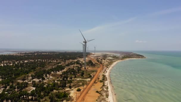 Szélmalmok Csoportja Megújuló Energiatermelésre Jaffna Srí Lanka Szélerőmű — Stock videók