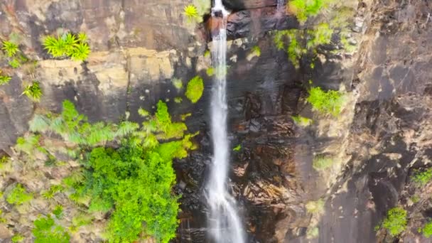 一个美丽的瀑布落在丛林中的山中 班巴拉坎达瀑布1 斯里兰卡 — 图库视频影像