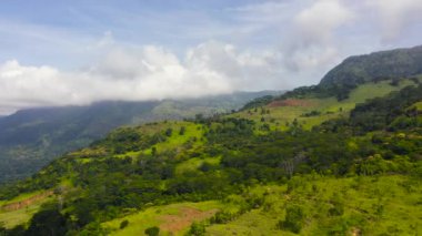 Mountains covered rainforest, trees and blue sky with clouds. Sri Lanka.