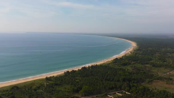 Beautiful Beach Palm Trees Turquoise Water View Kalkudah Beach Sri — Stock video