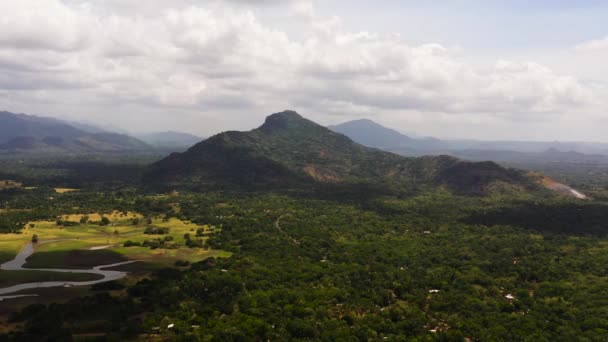 Vista Superior Terra Agrícola Campo Entre Floresta Tropical Selva Sri — Vídeo de Stock