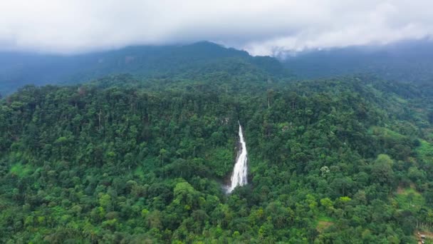 Красивый Водопад Горах Среди Джунглей Водопад Мапалана Шри Ланка — стоковое видео