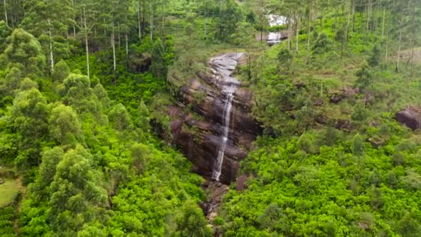 山の中で緑の茶畑の間の滝の空中ドローン スリランカに茶園 — ストック動画