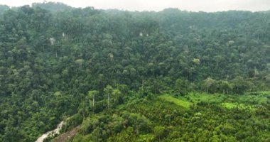 Sumatra, Endonezya 'da dağları ve ormanı olan tropikal manzaranın en üst görüntüsü.