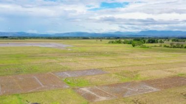 Tarım arazileri ve çeltik pirinç tarlaları. Tropikal iklimde tarım. Bereketli toprağı olan tropik bir manzara. Tarım kavramı.