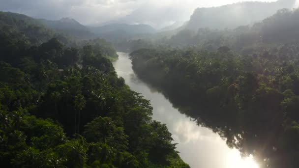 Orman Yağmur Ormanları Arasındaki Nehir Sabahın Erken Saatlerinde Güneş Işığıyla — Stok video