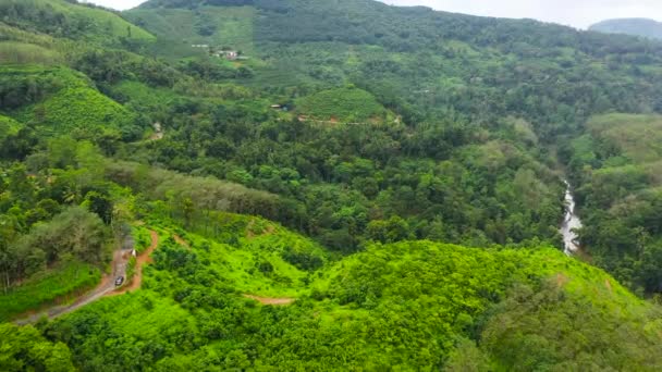 Lotnicze Drony Gruntów Rolnych Gór Zielonym Lasem Sri Lanka — Wideo stockowe