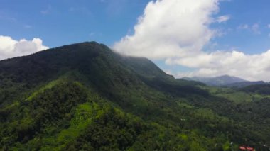 Tea plantations and agricultural land on the slopes of the mountains. Sri Lanka.