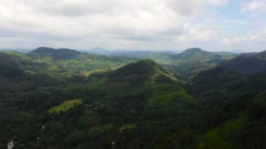Tropikal manzara: Dağların ve mavi gökyüzünün arka planında bitkiler olan tarım arazisi. Sri Lanka.