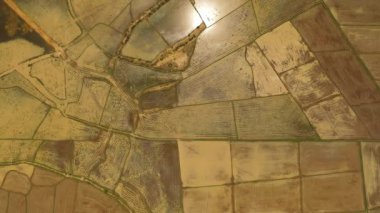 Flooded rice fields and agricultural land view from above. Sri Lanka.