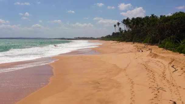 美しいビーチ 上からターコイズブルーの水の景色によるヤシの木 スリランカ 夏と旅行の休暇のコンセプト — ストック動画