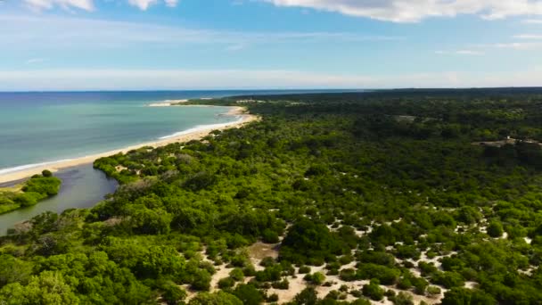 Uitzicht Vanuit Lucht Oceaan Met Een Strand Het Nationale Park — Stockvideo