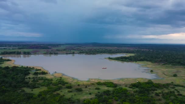 Озеро Джунглях Під Час Заходу Сонця Озеро Панама Вева Шрі — стокове відео