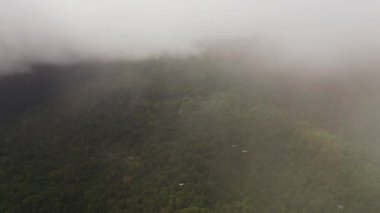 Dağ yamaçlarında yağmur ormanları ve yukarıdan orman manzarası var. Sri Lanka.