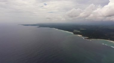 Sahili ve palmiye ağaçları arasında otelleri olan bir sahil. Dickwella Plajı, Sri Lanka.