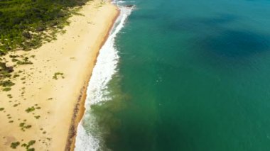 Aerial view of Tropical sandy beach and blue sea. Sri Lanka. Summer and travel vacation concept.