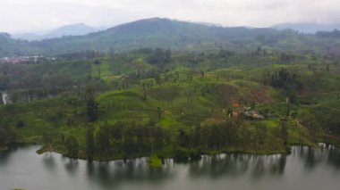 Aerial view of high mountain tea plantation. Tea estate in Sri Lanka.
