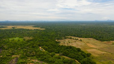 Tarım arazisi ve tropikal bitki örtüsü olan tropikal bir arazi. Sri Lanka.