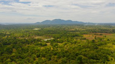 Çiftlik arazisi ve tropikal ormanı olan dağ vadisi. Sri Lanka.
