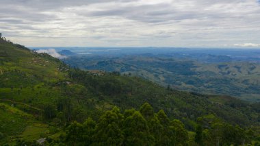 Mountain landscape with mountain peaks covered with forest. Slopes of mountains with evergreen vegetation.Sri Lanka.