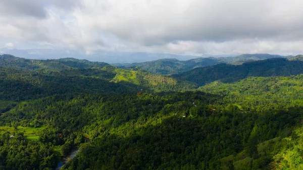 斯里兰卡被雨林和丛林覆盖的山坡 — 图库照片