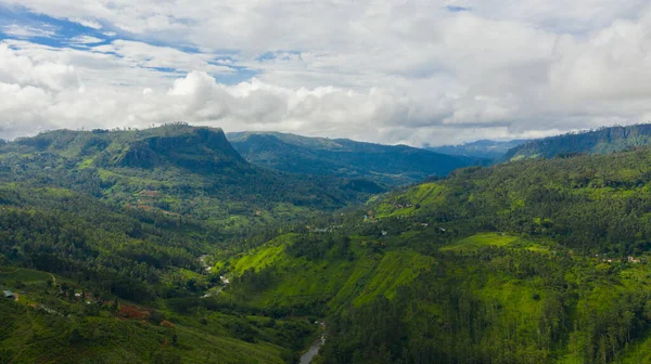Paesaggio Tropicale Con Tenuta Del Tra Montagne Piantagioni Sri Lanka — Foto Stock