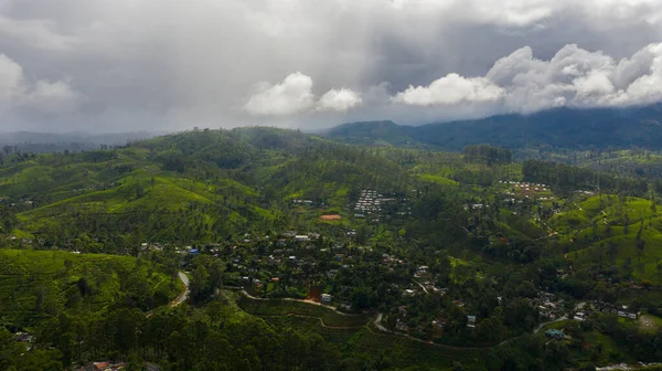 緑の茶畑の風景の空中ビュー スリランカに茶園 — ストック写真