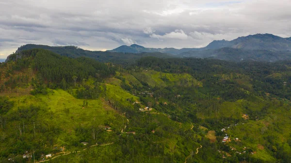 Vista Superior Ella Está Rodeado Verdes Colinas Con Plantaciones Tierras — Foto de Stock