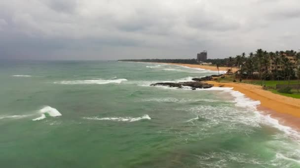 Palmiye Ağaçları Ile Tropikal Plaj Hikkaduwa Sri Lanka — Stok video