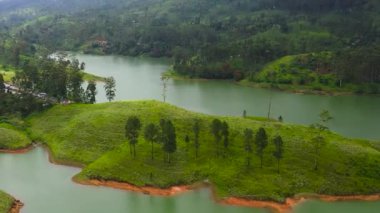 Yeşil tepeler ve güzel bir göl arasındaki çay arazisinin havadan görünüşü. Castlereigh Barajı, Sri Lanka.
