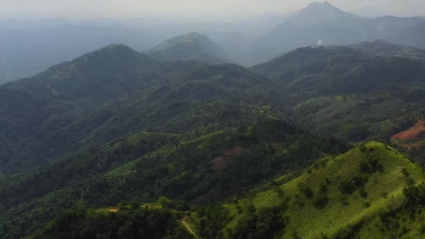 Drone Aereo Pendii Montuosi Ricoperti Foresta Pluviale Giungla Sri Lanka — Video Stock