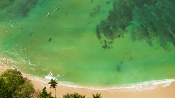 Aerial View Tropical Sandy Beach Blue Sea Hiriketiya Sri Lanka — Stockvideo