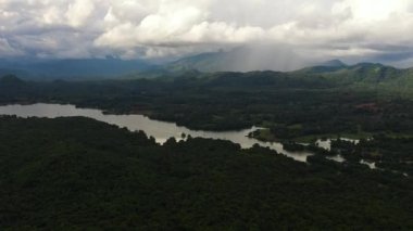 Tropik dağ sırası ve dağ yamaçlarında yağmur ormanları. Sri Lanka.